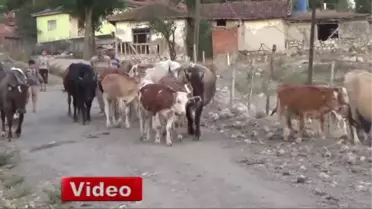 Çeşmeler Kuruyunca, Köylüler Hiç Oruç Tutamadı