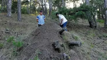 Ormana Karıncalı Koruma