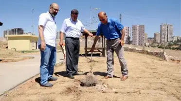 Mardin'deki 'Recep Tayyip Erdoğan Parkı' Suya Kavuşuyor