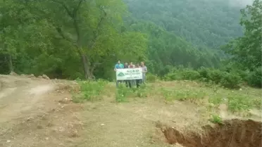 Açed: 'Yol Açma Bahanesiyle Yaylalar İşgal Ediliyor'