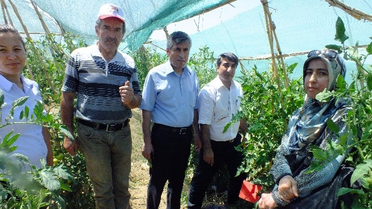Selvi Sebze Bahçesinde İnceleme Yaptı