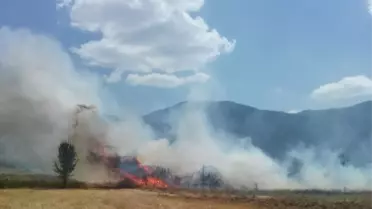 Simav'da Arazi Yangını