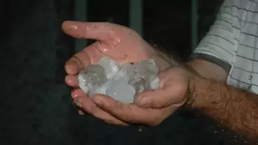 Sakarya'daki Dolu, Hasara Yol Açtı