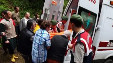 Rize'de Trafik Kazası: 3 Ölü, 3 Yaralı