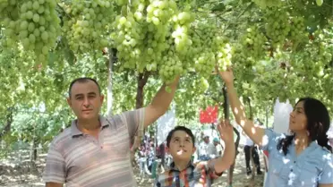 Serada Üzüm Yetiştirdi