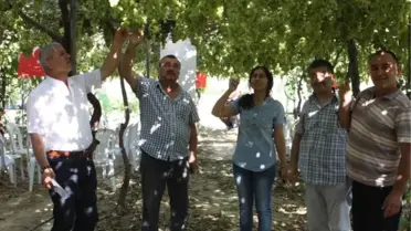 Serada Yetişen İlk Üzüm Hasada Hazır