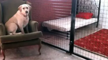 Sevimli Dostlar da Bayram Tatiline Çıkıyor