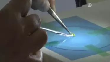 Böcek Türleri Dna Barkodlama Yöntemiyle Tespit Ediliyor