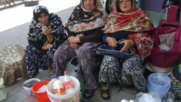 Köylü Kadınlar Aile Bütçelerine Katkı Sağlıyor