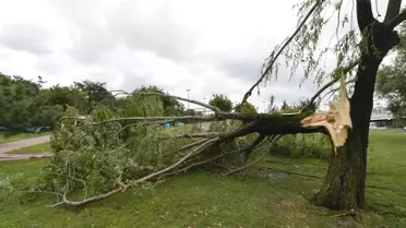 İstanbul'daki Sağanak