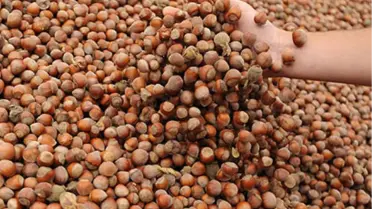 Ar-Ge ve Bilimsel Çalışmalar Komitesi Kuruldu