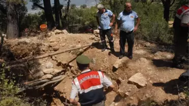 Define Uğruna Canlarından Oluyorlardı