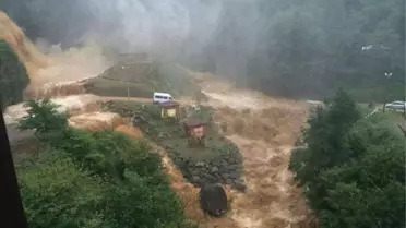 Rize'de Aşırı Yağışlar İlginç Görüntülere Sahne Oldu
