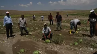 Yozgat'ta 3 Bin Dekar Arazi Doludan Zarar Gördü