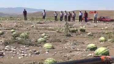 Yozgat'ta Dolu ve Yağmur Üreticiyi Vurdu