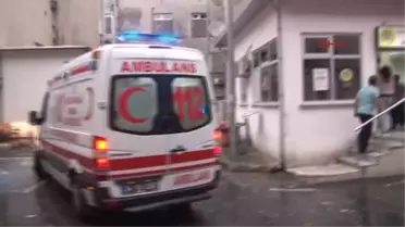İstanbul'da 20 Metrelik Akasya Ağacı Devrildi; 2 Kişi Ağır Yaralı