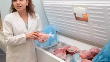 Süper Domatesler Geliyor