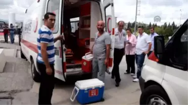 Samsun'da Organlarıyla 5 Kişiye Umut Oldu