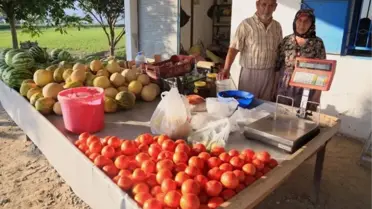 Milaslı Çiftçi Su Sıkıntısına Rağmen Üretiyor