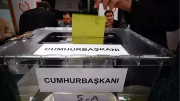 Oy Kullanırken Bilmeniz Gereken Her Şey