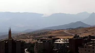 Küpeli Dağı'nda Yangın Çıktı