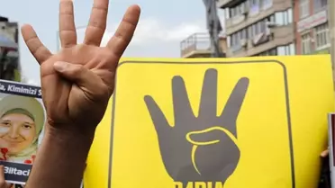 14 Ağustos Dünya Rabia Günü
