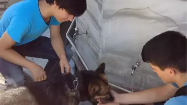 Kurda Elleriyle Su İçirdi
