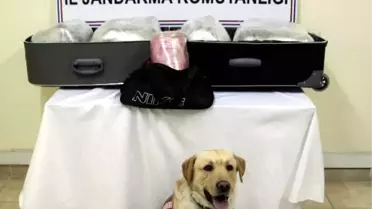 Otobüste 10 Kilo 764 Gram Esrar