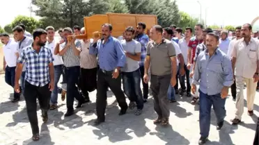Minik Mesut'un Organları 3 Kişiye Umut Oldu
