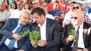 Bakan Zeybekci, İncir Festivalinde Ekonomiyi Değerlendirdi