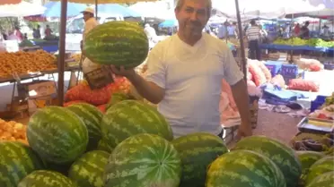 Bilecik'in Meşhur Deresakarı Karpuzu Elde Kaldı
