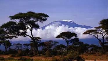 Dünyadaki Arazi Satışlarının Yüzde 80'i Afrika'da