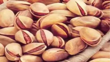 Aydın'ın Antep Fıstığının Talibi Gaziantepli Tüccarlar