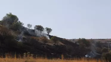 Afyonkarahisar'da Orman Yangını