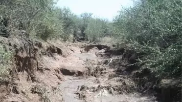 Nevşehir'de Sel ve Dolu 7 Bin 300 Dekar Alanı Vurdu