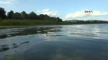 Sapanca Gölü'nde Su Seviyesi Düştü, Tarihi Kalıntılar Ortaya Çıktı