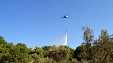 Ayvalık'ta Orman Yangını