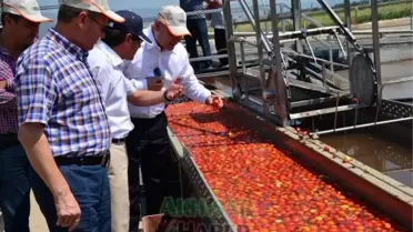 Akhisar Ticaret Borsası, Zer Salça Fabrikası'nı Ziyaret Etti