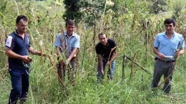 Madenden Kurtuldu, Tarlada Çalışıyor