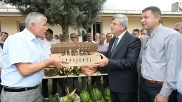 Büyükşehir'den Çiftçiye Bin Adet Hindi ve Çilek Fidesi