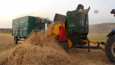 Ağrı Taşlıçay'da Çiftçilerin Patoz Mesaisi Sürüyor