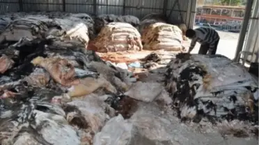 Thk Seydişehir Şubesinin Deri İhalesi Yapıldı