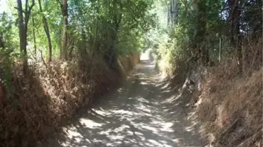 Fizik Kurallarını Alt Üst Eden Yayla