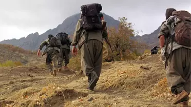 PKK, Muş'ta 10 Çocuğu Kaçırdı
