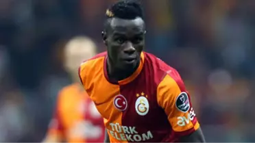 Portekiz'in Geleceği Bruma