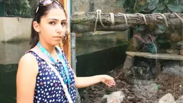 Darıca Hayvanat Bahçesi'nin Yeni Konukları 'Hale' ve 'Jale'ye Klimalı Özel Oda