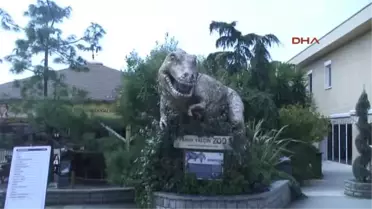 Darıca Hayvanat Bahçesi'nin Yeni Konukları Hale ve Jale'ye Klimalı Özel Oda