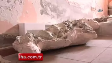 Sungurlu'da 30 Milyon Yıllık Fosil Gün Yüzüne Çıkıyor