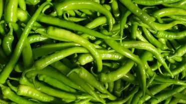 Fiyat ve Hava Şartları Biber Üretimini Düşürdü