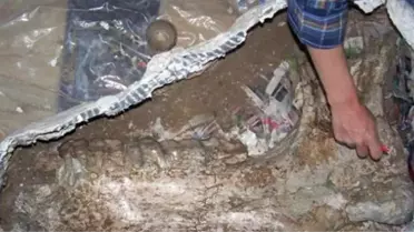 Çorum'da, 27 Milyon Yıllık Dev Fosil Bulundu